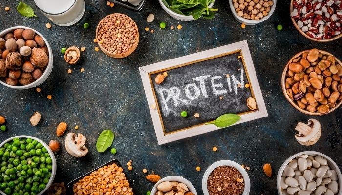 plant based proteins
