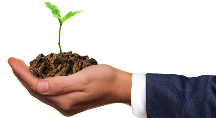 The Sustainability Trends You Can’t Afford to Ignore