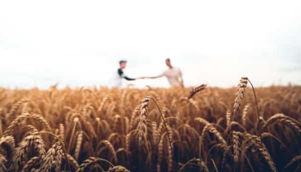 Farm and men shaking hands - Antibiotics in food