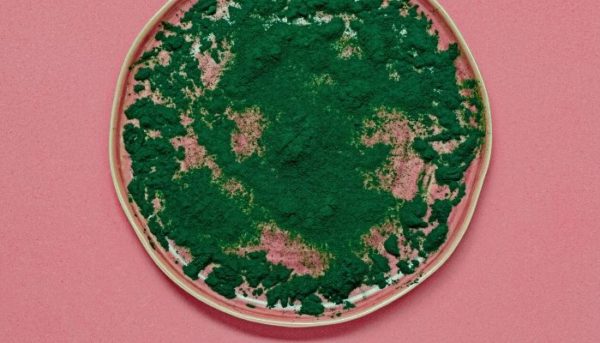Spirulina - Nutraceauticals
