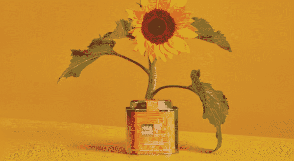 yellow teabox